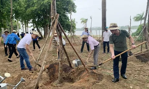 Phát động trồng cây xanh “Vì một Huế xanh” năm 2022