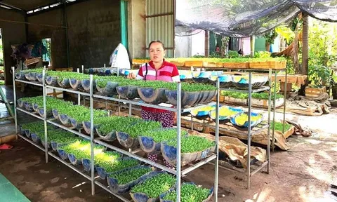 Hiệu quả từ phong trào “Chống rác thải nhựa” ở Gia Lai