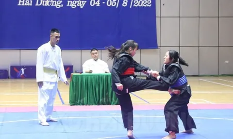 Giải vô địch pencak silat Đại hội Thể dục thể thao tỉnh Hải Dương lần thứ IX