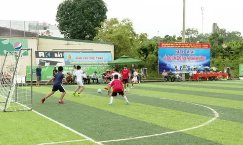 Giải Bóng đá Nhi đồng thành phố Ninh Bình năm 2022  