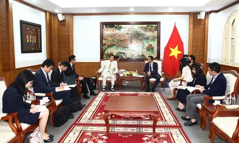 Góp phần đẩy mạnh quan hệ, hợp tác Văn hóa, Thể thao và Du lịch Việt Nam - Nhật Bản