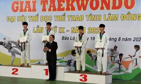 Giải Taekwondo Đại hội Thể dục thể thao tỉnh Lâm Đồng lần IX