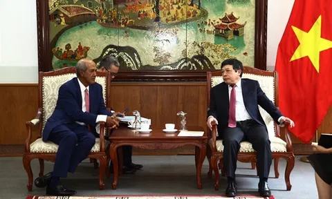 WIPO luôn đồng hành, hỗ trợ Việt Nam trong thực thi các vấn đề về quyền tác giả, quyền liên quan