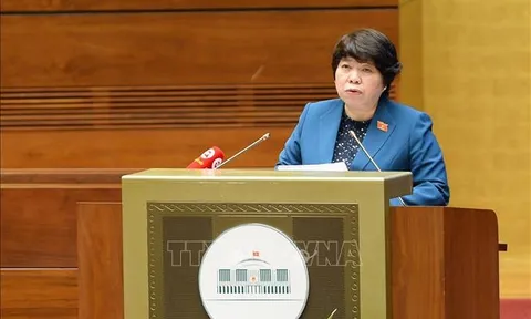 Thực hiện phòng, chống bạo lực gia đình toàn diện, khả thi, có hiệu quả