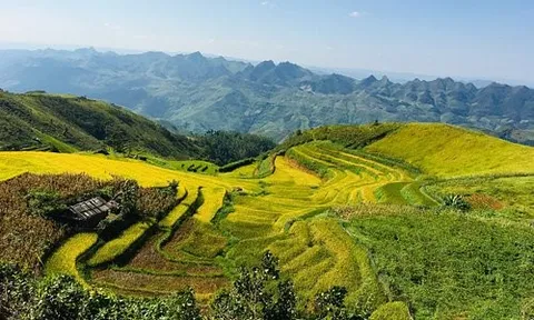 Bảo vệ di sản thiên nhiên