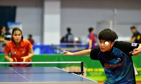 Việt Nam không dự giải vô địch Bóng bàn thế giới 2022