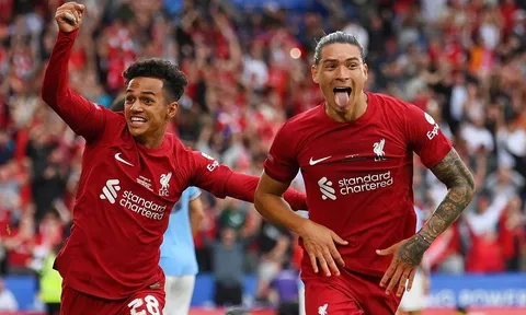 Vòng 9 Premier League > Liverpool - Brighton & Hove Albion (21 giờ ngày 1/10): Khó bắt nạt “Chim mồng biển”