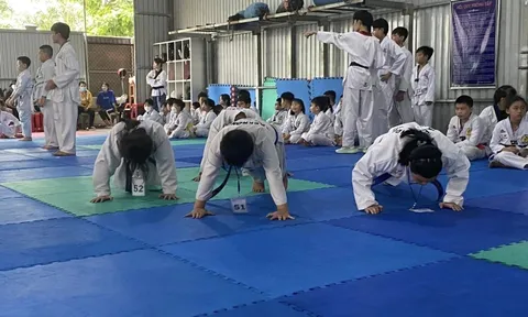 Liên đoàn Taekwondo Bình Dương áp dụng quản lý võ sinh bằng công nghệ số