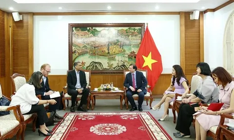 Tăng cường trao đổi thông tin đa kênh giữa Bộ Văn hóa, Thể thao và Du lịch Việt Nam với Hiệp hội Điện ảnh Hoa Kỳ