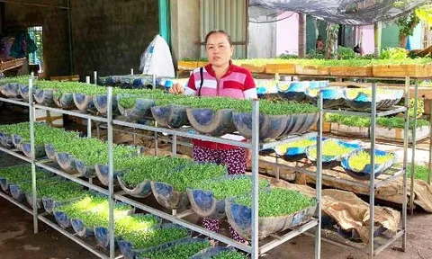 Gia Lai: Hiệu quả từ sự thay đổi nhận thức bảo vệ môi trường