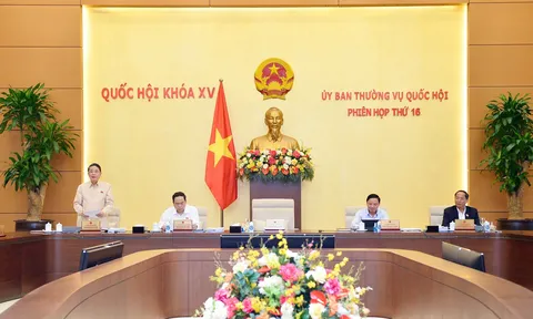 Quan tâm nghiên cứu để thực hiện chủ trương xây dựng chương trình mục tiêu về văn hóa