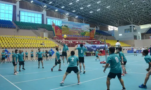 Giải Thể thao Khối thi đua tham mưu tổng hợp tỉnh Lào Cai năm 2022