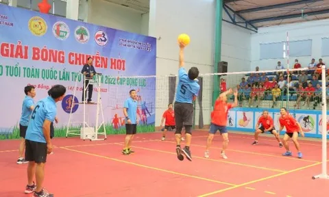 Giải Bóng chuyền hơi trung, cao tuổi toàn quốc lần thứ VIII - Cúp Động lực