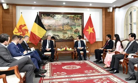 Thứ trưởng Tạ Quang Đông tiếp Bộ trưởng - Thủ hiến Wallonie-Bruxelles
