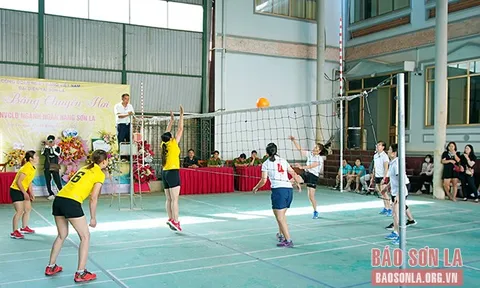 Giải Bóng chuyền hơi nữ công nhân viên chức ngành Ngân hàng Sơn La