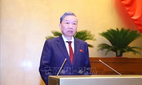 Thời gian thí điểm đấu giá biển số xe 3 năm là phù hợp