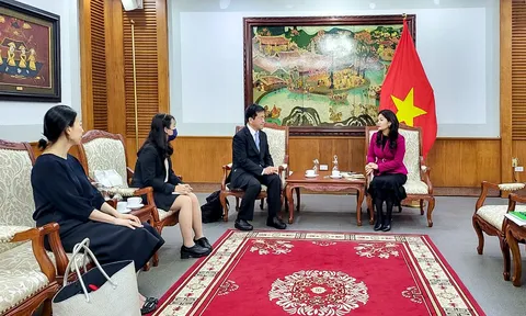 Việt Nam - Nhật Bản hợp tác sản xuất bộ phim về Dàn nhạc giao hưởng Việt Nam và Nhạc trưởng Honna Tetsuji