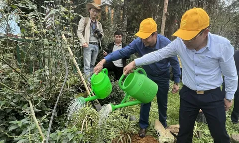 Phát động phong trào “Sa Pa - thành phố trong mây, chỉ trồng cây không xả rác”