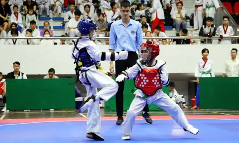 Giải Pencak Silat - Taekwondo các nhóm tuổi tỉnh Quảng Ninh năm 2022