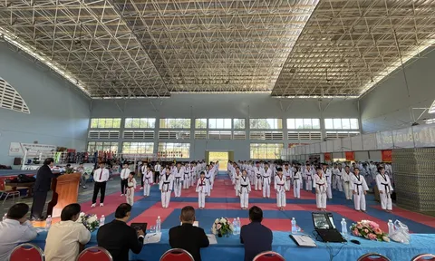 130 võ sinh Gia Lai tham gia kỳ thi thăng đẳng Taekwondo cấp quốc gia