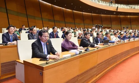 Quốc hội thông qua thí điểm đấu giá biển số ô tô