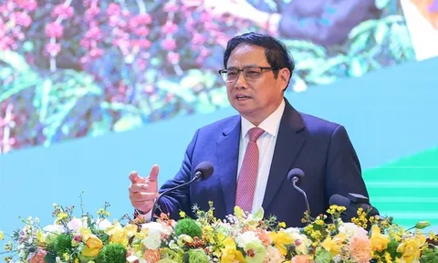Chính phủ sẽ mạnh dạn cho các địa phương Vùng Tây Nguyên thí điểm chính sách đặc thù