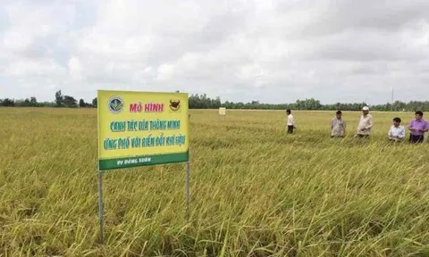 Nông dân Quảng Ngãi tích cực bảo vệ môi trường, ứng phó với biến đổi khí hậu
