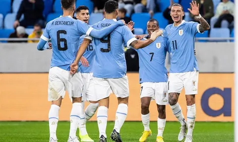 Bảng H > Uruguay - Hàn Quốc (20 giờ ngày 24/11): Thận trọng khi đối đầu với “Chiến binh Taegeuk”