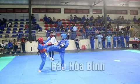 Giải các câu lạc bộ Vovinam tỉnh Hòa Bình mở rộng lần thứ III