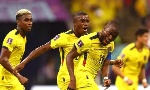Bảng A > Ecuador - Senegal (22 giờ ngày 29/1): Lấy vé vào vòng 1/8