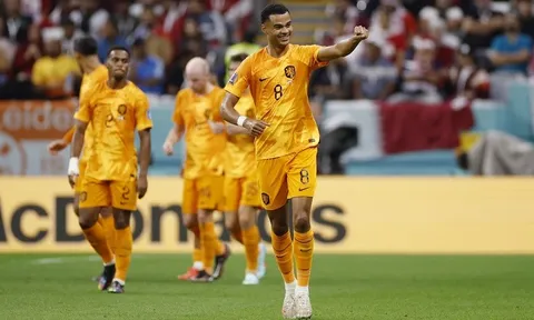 7 đội tuyển đã giành vé vào vòng 16 đội tại World Cup 2022