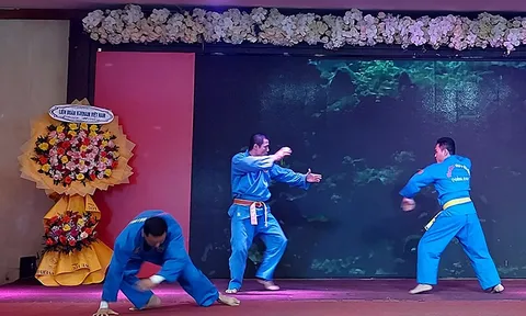 Bộ môn Vovinam-Việt Võ đạo tỉnh Quảng Bình kỷ niệm 25 năm thành lập