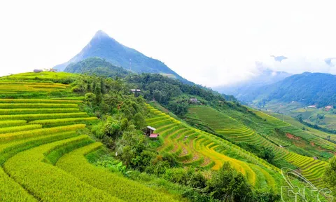 8 cung đường trekking tuyệt đẹp ở Việt Nam theo đề xuất của Lonely Planet