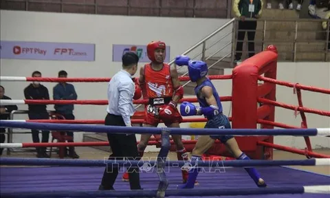 Hơn 200 vận động viên tranh tài môn Muay