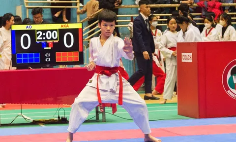 Giải câu lạc bộ Taekwondo, Vovinam, Karate tỉnh Thái Nguyên