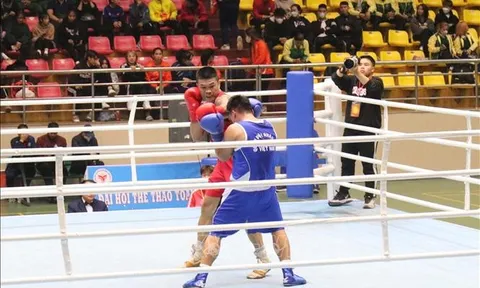 Hà Nội giành ngôi nhất toàn đoàn môn Boxing
