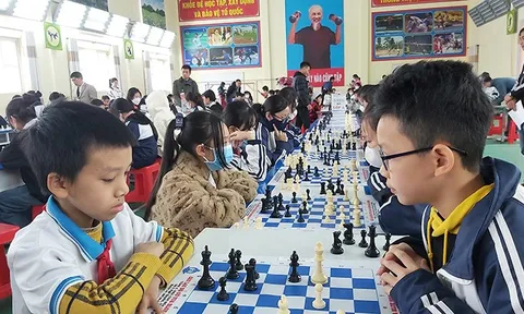 Huyện Cẩm Giàng tổ chức giải cờ Vua cấp Tiểu học và THCS năm học 2022-2023