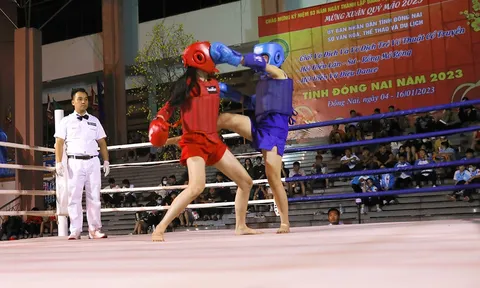 Giải vô địch và vô địch trẻ Võ thuật cổ truyền tỉnh Đồng Nai
