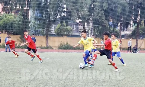 Giải Bóng đá học sinh Tiểu học tỉnh Hải Dương năm học 2022-2023