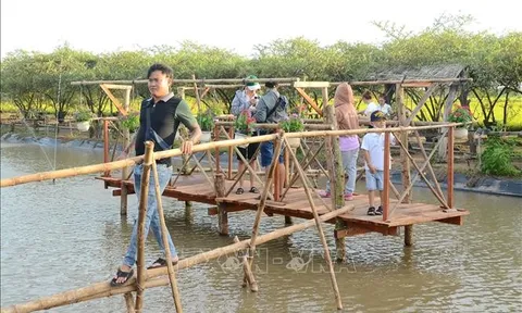 Du lịch Tết - Thị trường tiềm năng