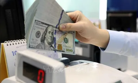 Những chính sách mới nổi bật có hiệu lực trong tháng 2/2023