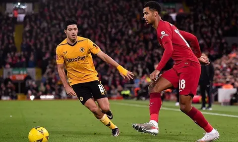 Vòng 22 Premier League > Wolverhampton Wanderers - Liverpool (22 giờ ngày 4/2): Dễ sa lầy ở “hang sói”