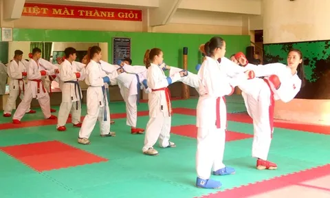 Dấu ấn thể thao thành tích cao Đồng Tháp 