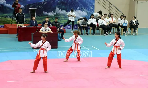 Giải Taekwondo các lứa tuổi trẻ tỉnh Lào Cai năm 2023