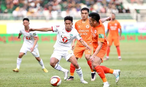V.League 2023: Dĩ hòa vi quý
