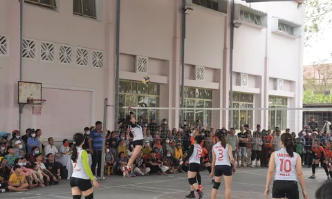 An Phú vô địch giải Bóng chuyền nữ thành phố Tam Kỳ năm 2023