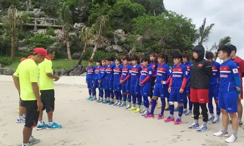 Cả hai đội tuyển bóng đá nam và nữ đều không đá giao hữu trong dịp FIFA Days