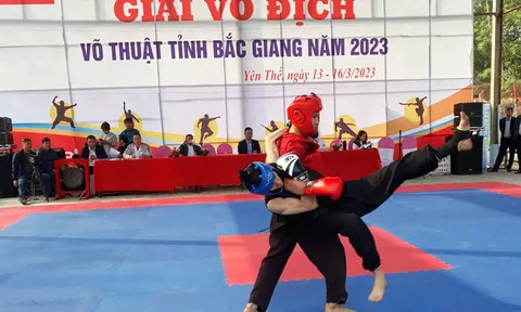 Giải vô địch Võ thuật tỉnh Bắc Giang năm 2023