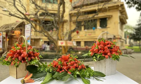 Trải nghiệm tour “Bác Cổ - Mùa hoa gạo” tại Bảo tàng Lịch sử Quốc gia