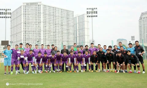 Đội tuyển Việt Nam: Đối diện nguy cơ tụt hạng vì không đá FIFA Days